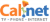 Adams Logo